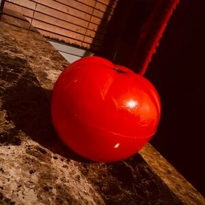 (3)…. Tupperware Sandwich Keeper. And Tomatoes, Onion 🧅 Keepers. Plus Lunch bag.